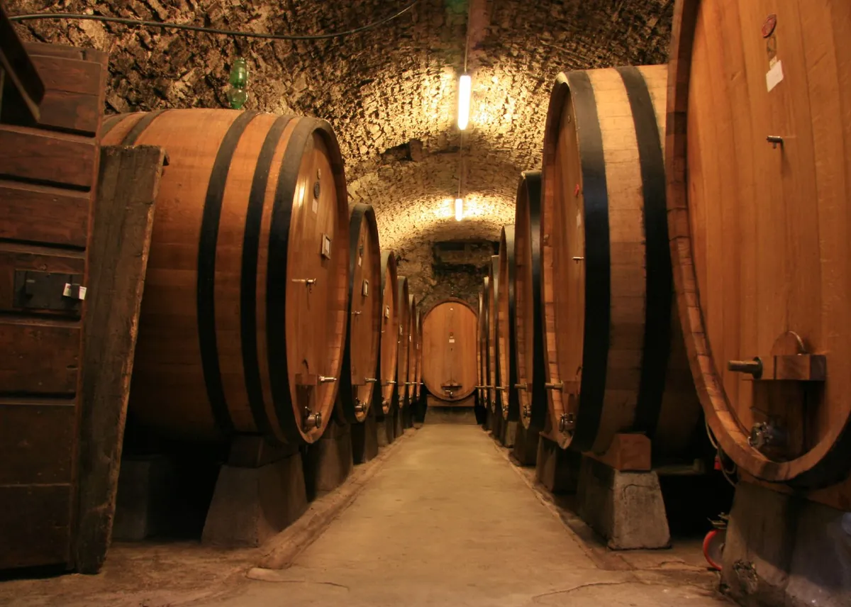 Interior de una bodega con botas de roble